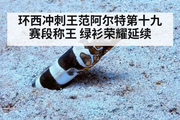 环西冲刺王范阿尔特第十九赛段称王 绿衫荣耀延续